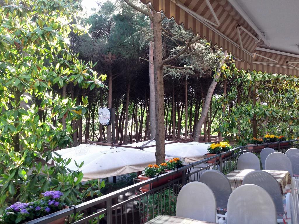 Hotel Antares Cervia Esterno foto